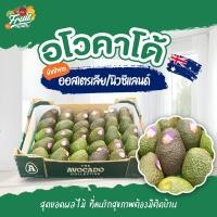 ราคา อโวคาโด New Zealand /ออสเตรเลีย ยกลัง 28 ลูก by Fruit for Health (6969896018)