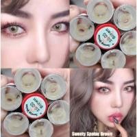 ราคา บิ๊กอาย คอนแทคเลนส์ รุ่น Sweety Spatax gray/ brown ฝาแดง ยี่ห้อ Pitchy lens (41451548845)