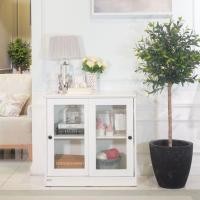 ราคา Koncept Furniture ตู้เตี้ย รุ่น Moneta สีขาว (80x45x80 ซม.) แบรนด์ KONCEPT FURNITURE (24607980689)
