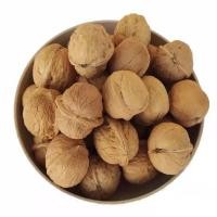 ราคา ลูกวอลนัท walnut 1kg ขนมนกแก้ว ชูการ์ แฮมสเตอร์ กระรอก สัตว์เลี้ยงฟันแทะ (27736992370)