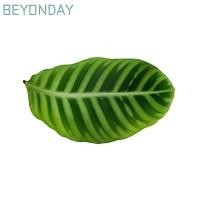 ราคา กูกัว พรมเช็ดเท้ากันลื่นลายใบไม้สีเขียววัสดุโคลนไดอะตอมพรมปูพื้นไดอะตอมไมต์ทนทานทําความสะอาดง่ายพื้นกันลื่นพรมปูพื้นดูดซับทางเข้าห้องน (55065642152)