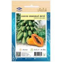 ราคา เมล็ดพันธุ์ มะละกอฮอลแลนด์ สตาร์ ตราเจียไต๋ (55856563341)