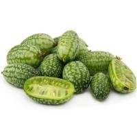 ราคา 25 เมล็ด แตงกวา แตงชั้ง แตงร้าน แตงขี้ไก่ แตงขี้ควาย พันธุ์นอก Cucumber สายพันธุ์ CUCAMELON (45359092187)