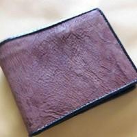ราคา Shark brown wallet หนังปลาฉลามแท้ (5541167134)