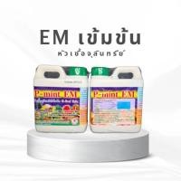 ราคา EM หัวเชื้อจุลินทรีย์ชนิดเข้มข้น ขนาด 1 ลิตร (45906918840)