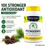 ราคา Healthy Origins Pycnogenol 100mg 120 Veggie Caps 10X Stronger Antioxidant Than Vitamin C รองรับคอลลาเจน ผิวสุขภาพ & Anti-Aging (45517862891)