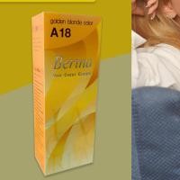 ราคา ฮิตมาก เบอริน่า A18 สีบลอนด์ประกายทอง สีผม สีย้อมผม เปลี่ยนสีผม ครีมย้อมผม Berina A18 Golden Blonde Hair Color Cream (24972780991)