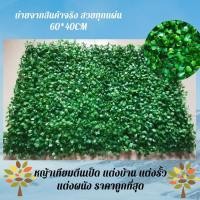 ราคา ต้นตีนเป็ด แต่งบ้าน แต่งรั้ว แต่งผนัง แผ่นตีนเป็ดหญ้าเทียม (ถ่ายจากสินค้าจริง)ขนาด 40*60 cm. (9052508386)