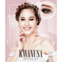 ราคา คอนแทคเลนส์ รุ่น KWANUSA Gray (Dia.14.5) (2868541422)