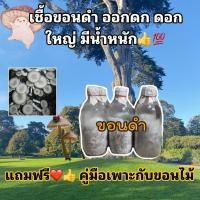 ราคา เชื้อเห็ดขอน เห็ดขอนดำ เห็ดขอน ชนิดข้าวฟ่าง พร้อมคู่มือเพาะเห็ดกับขอนไม้ (28953561424)