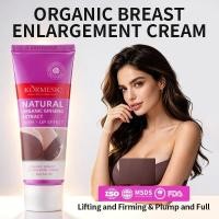 ราคา KORMESIC Organic Bust Care Cream 40g Moisturizing Firming Lifting Bust Skin Daily Body Skin Care (52965768317)