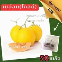 ราคา เมล็ดพันธุ์ เมล่อนโกลด์ 50เมล็ด Melon Gold เมล่อนสีทอง (ซื้อ 10 แถม 1 คละอย่างได้ ) (2430338973)