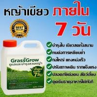ราคา ปุ๋ยบำรุงหญ้าสนาม บำรุงหญ้าทุกชนิด ปุ๋ยทำให้หญ้าเขียว สด ปุ๋ยหญ้านวลน้อย ปุ๋ยหญ้ามาเลเซีย ญี่ปุ่น ปุ๋ยหญ้าเบอร์มิวด้า (42124614467)