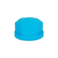 ราคา ฝาครอบเกลียว ท่อน้ำไทย 1" สีฟ้า (41770)