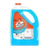 ราคา น้ำยาทำความสะอาดกระจก MR.MUSCLE 5,200 มล. (68267)