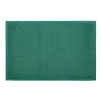 ราคา พรมเช็ดเท้าดักฝุ่น HOME LIVING STYLE Z 48X68 ซม. สีเขียว (245529)