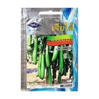 ราคา เมล็ดพันธุ์มะเขือยาว ตราเจียไต๋ (1006956)