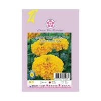 ราคา เมล็ดพันธุ์ดอกดาวเรือง ซันชายน์โกลด์ ตราเจียไต๋ (1006959)