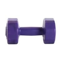 ราคา ดัมเบล GSPORTS DB2 2 กก. สีม่วง (1046454)