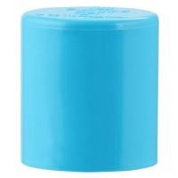 ราคา ฝาครอบ-หนา SCG 1 นิ้ว สีฟ้า (1054980)