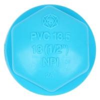 ราคา ฝาครอบเกลียวใน-หนา SCG 1/2 นิ้ว สีฟ้า (1055143)