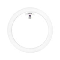 ราคา หลอด LED LAMPTAN CIRCULAR SET 24 วัตต์ DAYLIGHT G10q (1055212)
