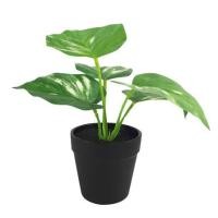 ราคา ต้นไม้ประดิษฐ์ใบเขียว LALA HOME MN06 (1065730)