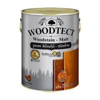 ราคา สีย้อมไม้ WOODTECT 601 สีไม้สัก ด้าน 1/4G (1095857)