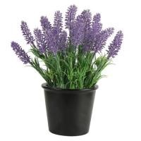 ราคา ต้นไม้ประดิษฐ์ลาเวนเดอร์ SPRING 15X15X25 ซม. (1102668)