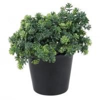 ราคา ต้นไม้ประดิษฐ์กระถางเซรามิก SPRING 20 ซม. (1102754)