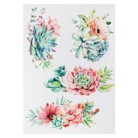ราคา สติ๊กเกอร์ลอกน้ำ DIY HOME LIVING STYLE SUCCULENT 34X47 ซม. (1110643)