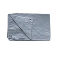 ราคา ผ้าใบ PE SAFARI 2X3 ม. สีเงิน (1121811)