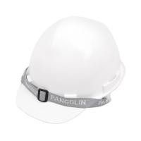 ราคา หมวกนิรภัย PANGOLIN สีขาว (1122159)