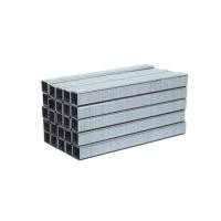 ราคา ลวดยิงไม้ขาคู่ EUROX 1010J 10 มม. 5,000 นัด (1131252)