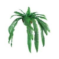 ราคา ต้นเฟิร์นสไบนางประดิษฐ์ติดผนัง ME LIVING 100 ซม. สีเขียว (1135730)