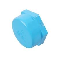 ราคา ฝาครอบเกลียว ท่อน้ำไทย 1 1/2 นิ้ว สีฟ้า (1136773)