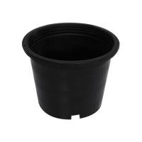 ราคา กระถางพลาสติกปากกลม PNP 6 นิ้ว สีดำ แพ็ก 20 ชิ้น (1137580)
