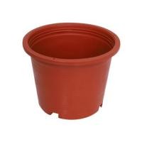ราคา กระถางพลาสติกปากกลม PNP 6 นิ้ว สีอิฐ (1137597)
