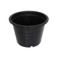 ราคา กระถางพลาสติกปากกลม PNP 10 นิ้ว สีดำ (1137631)