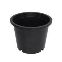 ราคา กระถางพลาสติกปากกลม PNP 6 นิ้ว สีดำ (1137651)