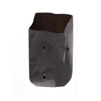 ราคา ถุงเพาะชำ ม้าบิน 2.5x6 นิ้ว 1 กก. สีดำ (1137743)