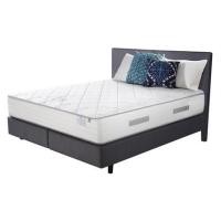 ราคา SEALY ที่นอน 6 ฟุต รุ่น PURITY พร้อมชุดเครื่องนอน 11 ชิ้น