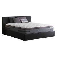 ราคา Sealy ที่นอน ขนาด 5 ฟุต รุ่น Momentum