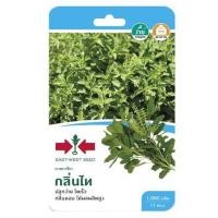 ราคา กะเพราเขียว กลิ่นไท ศรแดง (1146527)