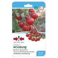 ราคา ถั่วลันเตา เวียงพิงค์ ศรแดง (1146578)