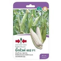 ราคา ข้าวโพด F1 บิ๊กไวท์ 852 ศรแดง (1146642)