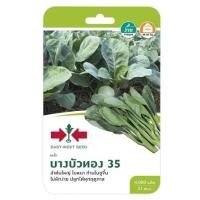ราคา คะน้าบางบัวทอง 35 ศรแดง (1146652)