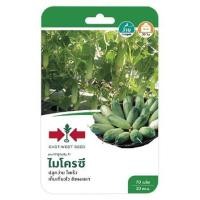 ราคา แตงกวา F1 ไมโครซี ศรแดง (1146662)