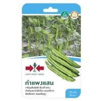ราคา ถั่วพูกำแพงแสน ศรแดง (1146656)