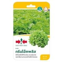 ราคา ผักกาดหอม(ผักสลัด) กรีนโอ๊คพลัส ศรแดง (1146682)